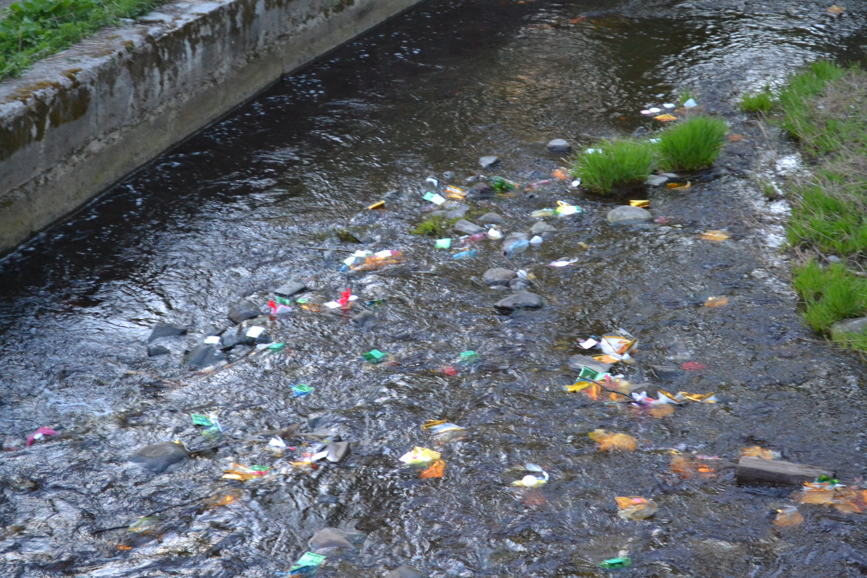 Загрязнения берегов рек